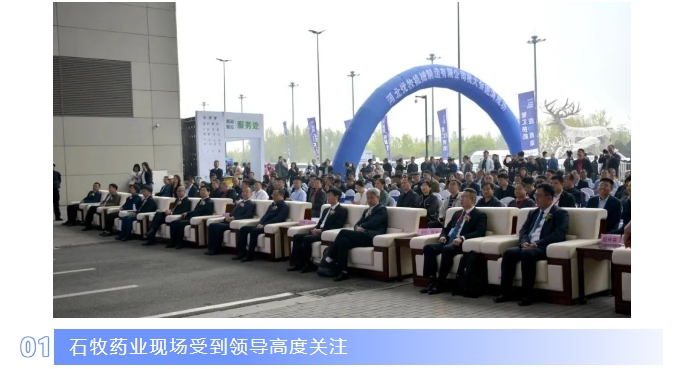 �ڲ�����Ϸ������(�й�)רҵ����,����Ϊ��