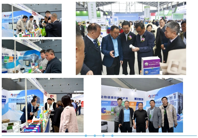 �ڲ�����Ϸ������(�й�)רҵ����,����Ϊ��