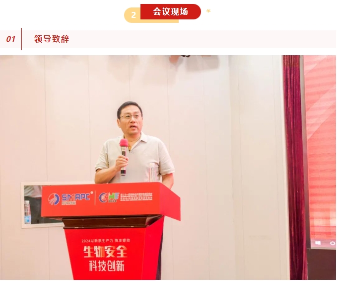 �ڲ�����Ϸ������(�й�)רҵ����,����Ϊ��