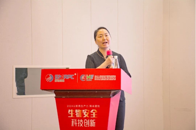 �ڲ�����Ϸ������(�й�)רҵ����,����Ϊ��