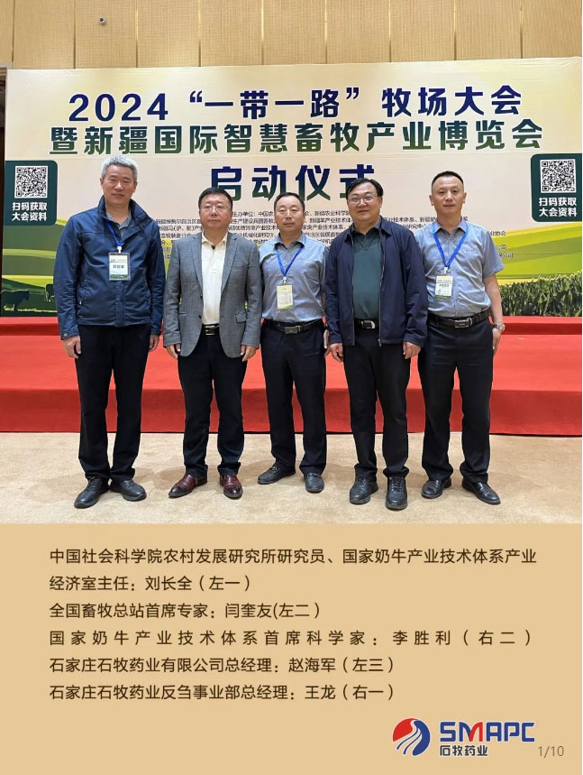 �ڲ�����Ϸ������(�й�)רҵ����,����Ϊ��