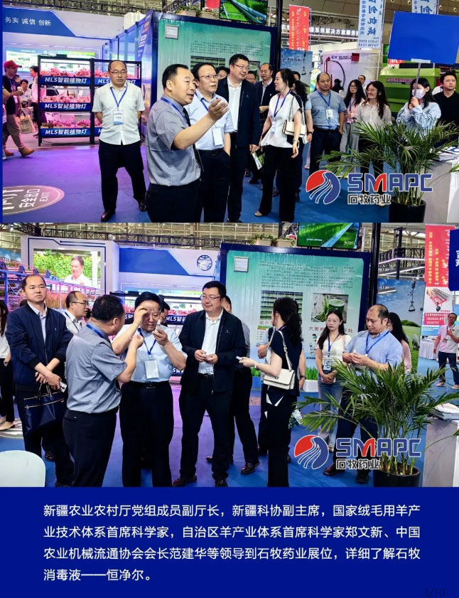 �ڲ�����Ϸ������(�й�)רҵ����,����Ϊ��