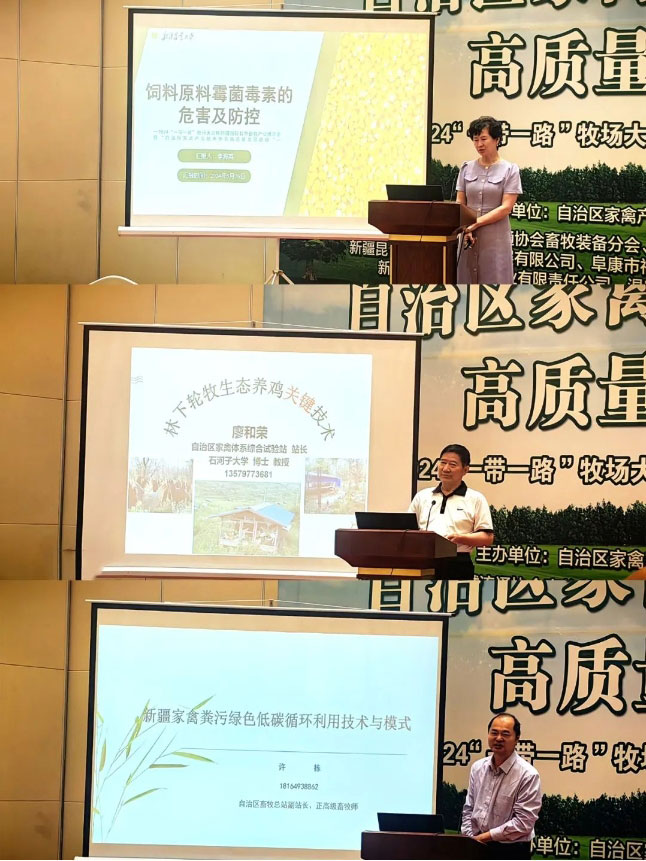 �ڲ�����Ϸ������(�й�)רҵ����,����Ϊ��