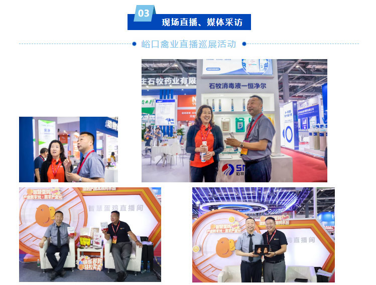 �ڲ�����Ϸ������(�й�)רҵ����,����Ϊ��