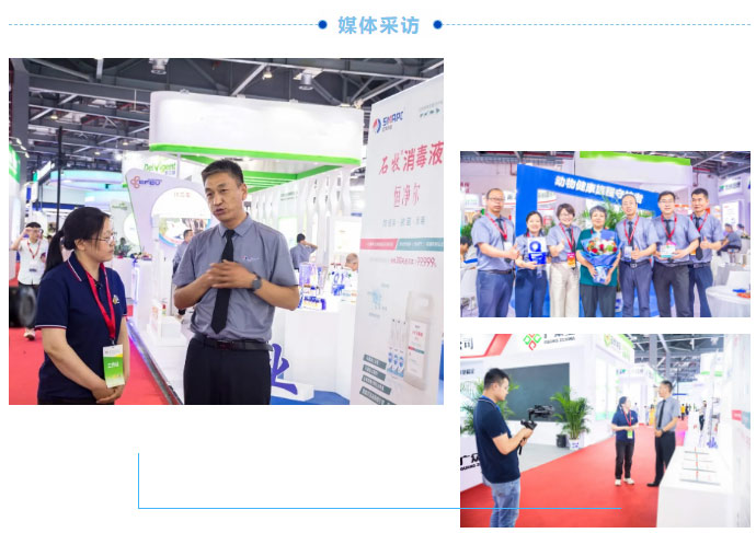 �ڲ�����Ϸ������(�й�)רҵ����,����Ϊ��