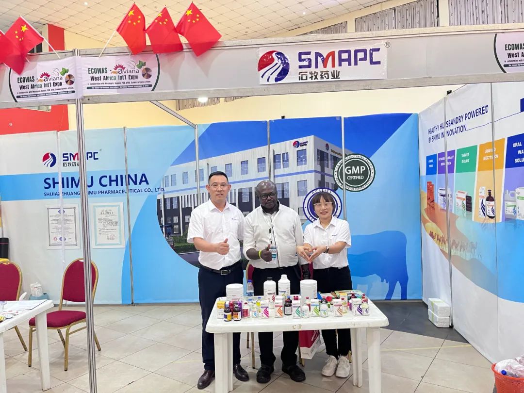 �ڲ�����Ϸ������(�й�)רҵ����,����Ϊ��