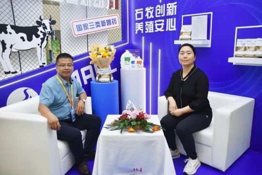 �ڲ�����Ϸ������(�й�)רҵ����,����Ϊ��