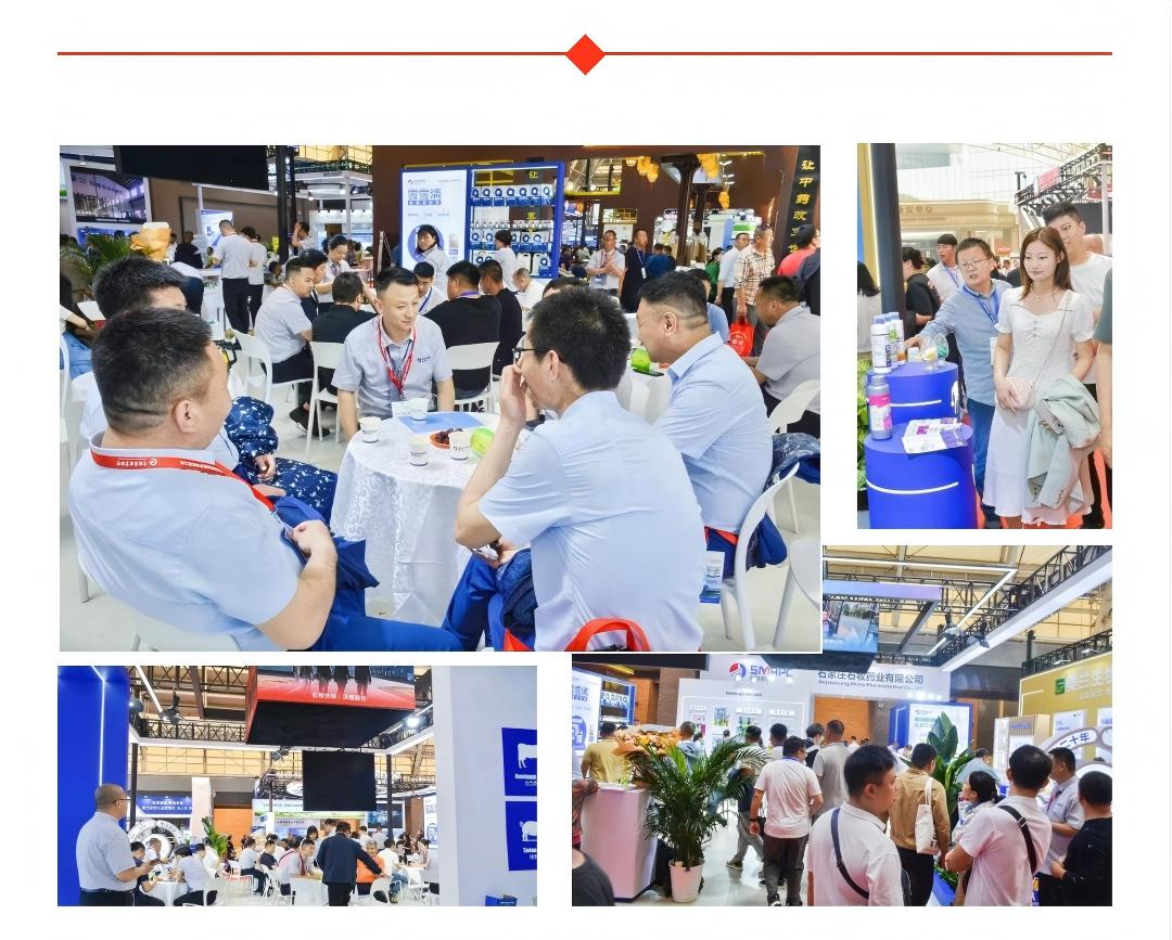 �ڲ�����Ϸ������(�й�)רҵ����,����Ϊ��