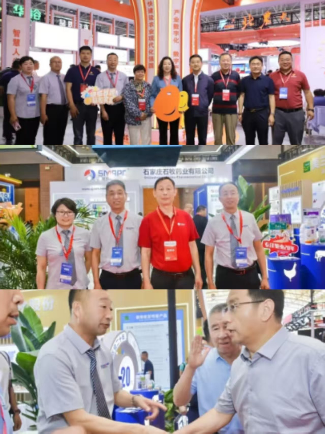 �ڲ�����Ϸ������(�й�)רҵ����,����Ϊ��